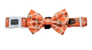 “Just Peachy" Collar & Bowtie