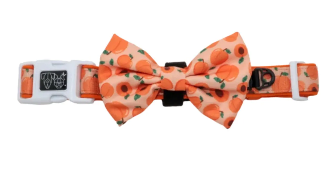 “Just Peachy" Collar & Bowtie