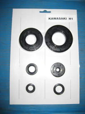 Kawasaki H1 500 Triple Mach 3 Engine Case Oil Seal Kit / Set KH500 Crank Kick Shift Clutch  