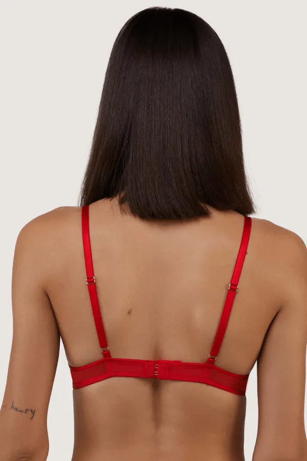 Ramona Mesh Plunge Bra - Red