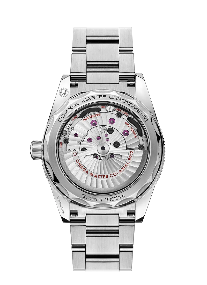 Seamaster 300 Co-Axial Master Chronometer 41 mm