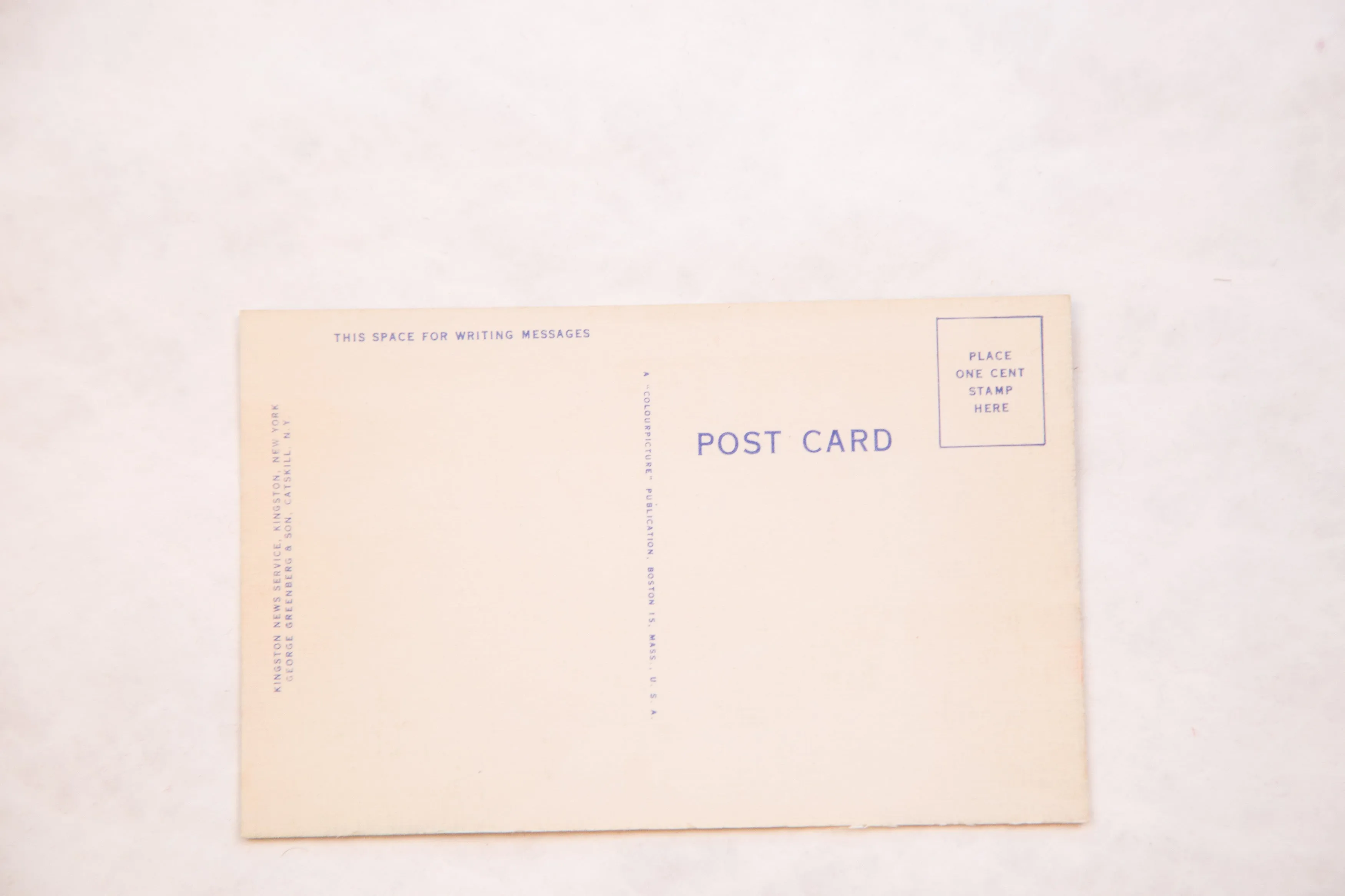 Vintage Catskills NY Postcard Path, Lake, and Trees