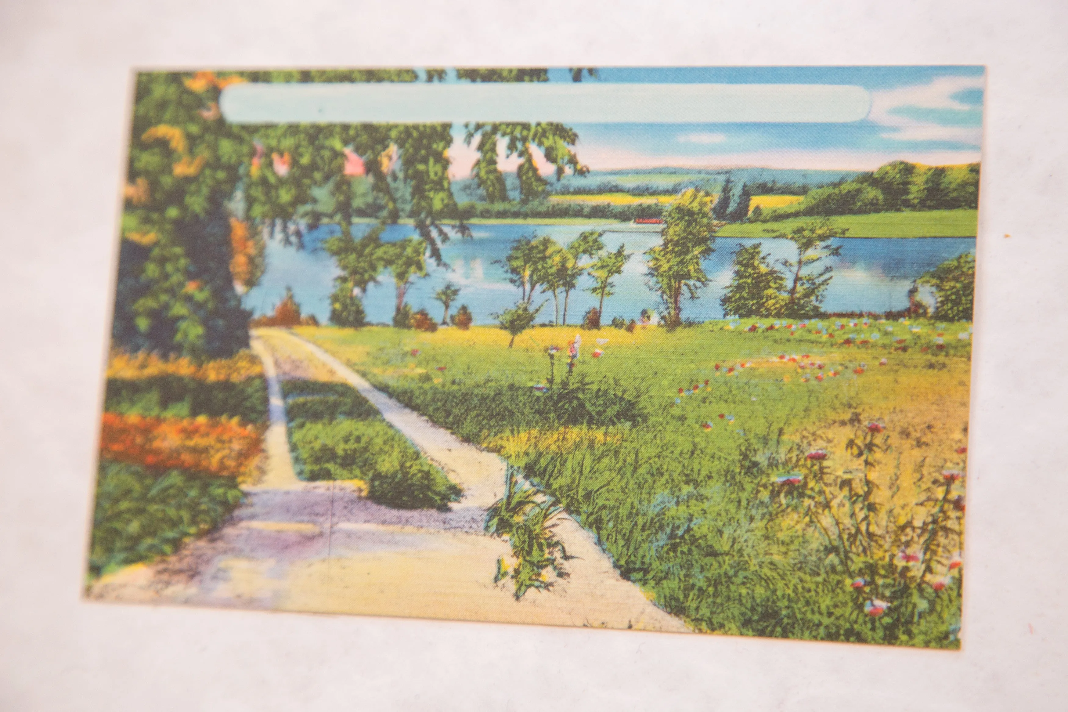 Vintage Catskills NY Postcard Path, Lake, and Trees